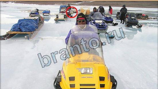 Где же кот помощь в картинках Уровень 6111