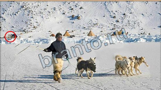 ответы на игру Где же кот в скриншотах Уровень 6112