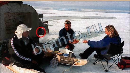 Где же кот ответы на новые задания Уровень 6113