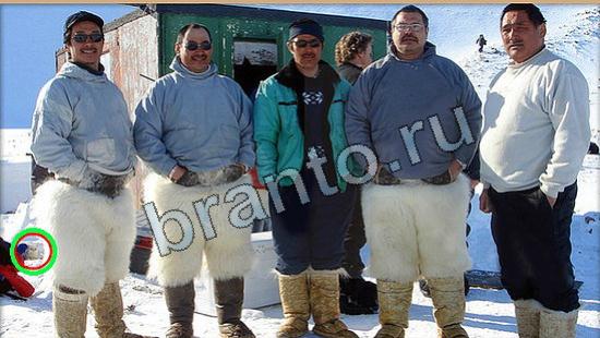 ответы на игру Где же кот Уровень 6114