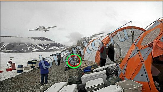 решения на игру Где же кот Уровень 6115