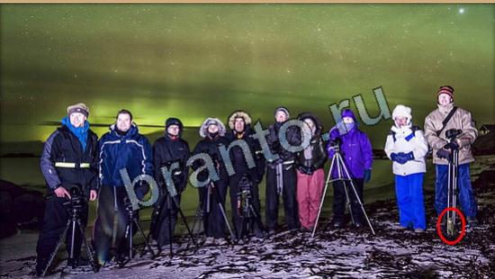 ответы на игру Где же кот Уровень 6116