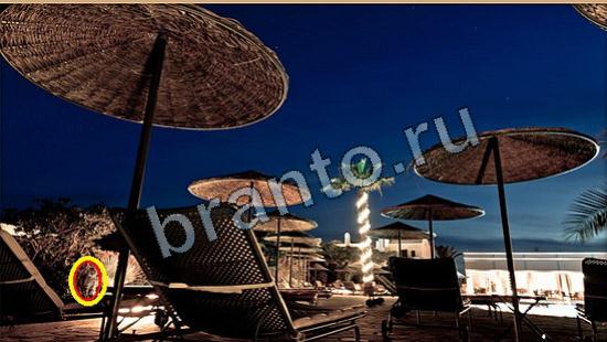 Решения на игру Где же кот Уровень 6123