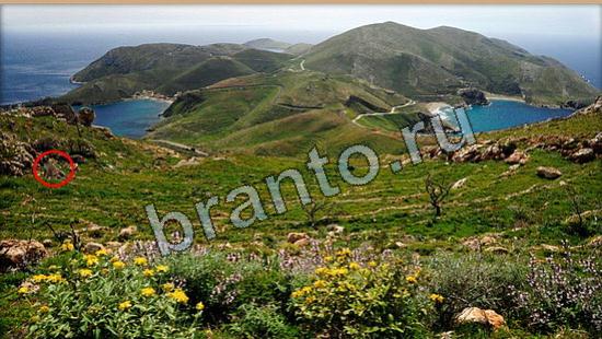 Где же кот? помощь Уровень 6130