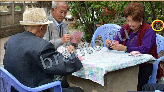 прохождение на игру Где же кот Уровень 6141