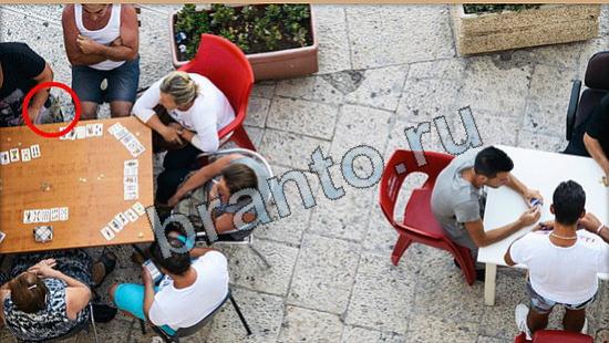 ответы Где же кот? в одноклассниках Уровень 6146