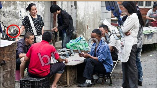 ответы для игры Где же кот Уровень 6147