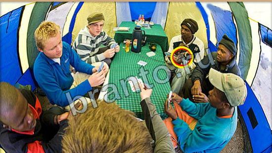 помощь на игру Где же кот Уровень 6158