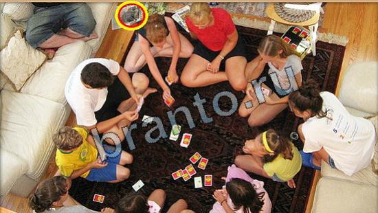 Где же кот игра ответы Уровень 6160