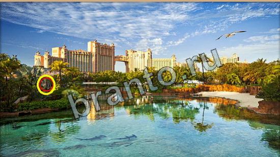 ответы на игру Где же кот Уровень 6201