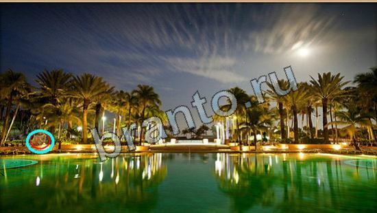 Решения на игру Где же кот Уровень 6203