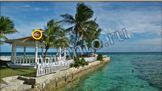 Помощь на игру Где же кот Уровень 6204