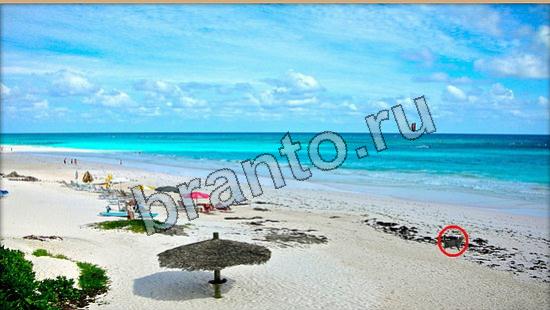 ответы на игру в одноклассниках Где же кот Уровень 6206