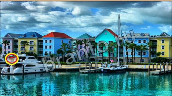 Где же кот игра ответы в одноклассниках Уровень 6207