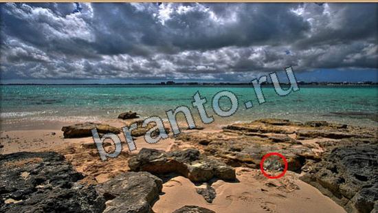 Где же кот? подсказки Уровень 6209