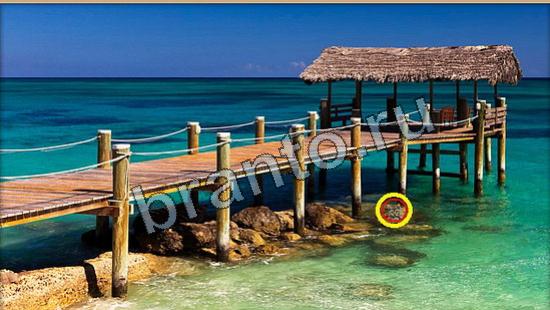 решебник на игру Где же кот Уровень 6211