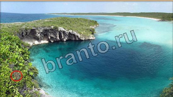 Где же кот? решения Уровень 6212