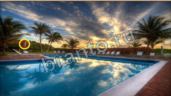 Где же кот игра ответы Уровень 6213