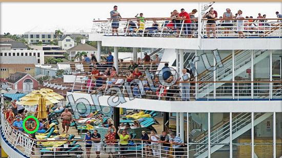 Где же кот ответы в картинках Уровень 6216