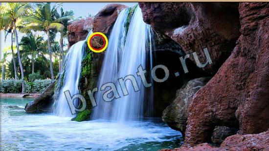 Игра Где же кот ответы Уровень 6217