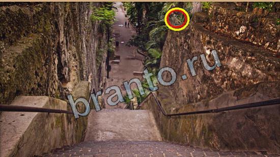 Игра Где же кот подсказки Уровень 6218