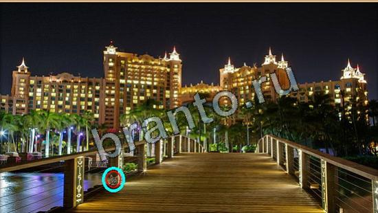 игра Где же кот помощь Уровень 6219