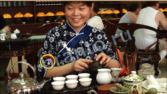 Где же кот прохождение игры Уровень 6222