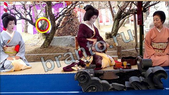 відповіді на игру Где же кот в одноклассниках Уровень 6223