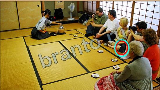 Прохождение игры Где же кот Уровень 6224