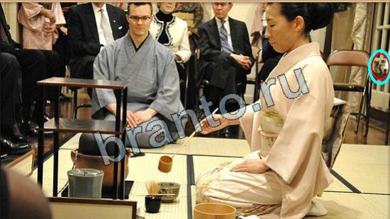 ответы Где же кот Уровень 6225