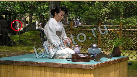 Где же кот помощь в картинках Уровень 6231