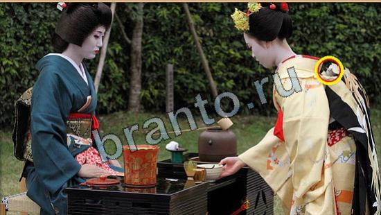 ответы на игру Где же кот Уровень 6234