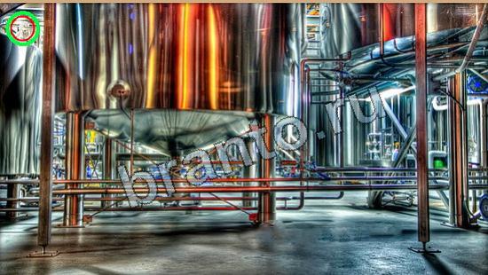 ответы к игре Где же кот Уровень 6245