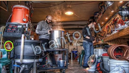 ответы на игру в одноклассниках Где же кот Уровень 6246