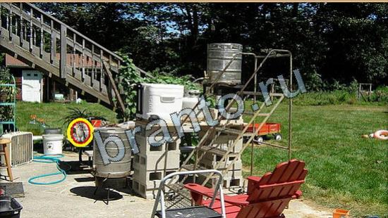 Где же кот? ответы Уровень 6248