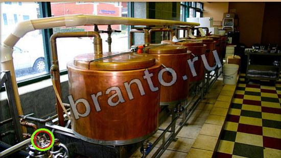 Где же кот игра ответы Уровень 6253