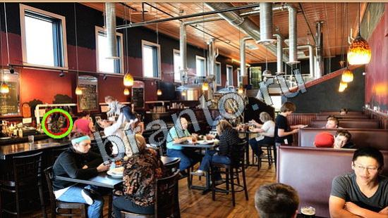 Игра Где же кот прохождение Уровень 6260