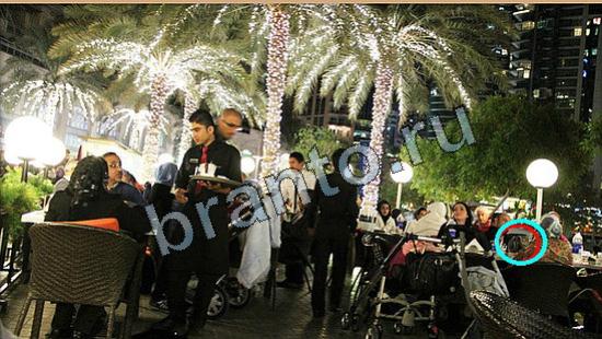 прохождение на игру Где же кот Уровень 6261