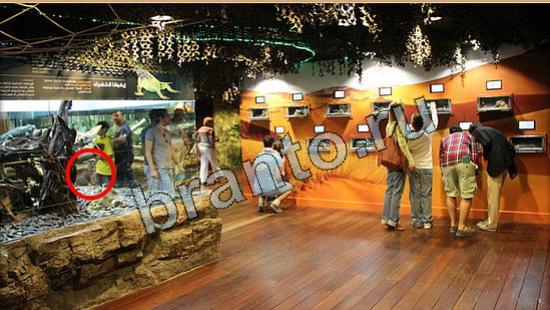 Где же кот прохождение игры Уровень 6262