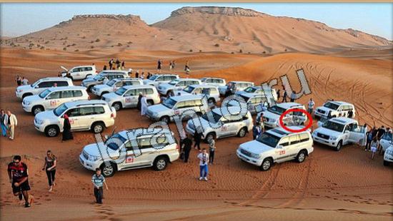 відповіді на игру Где же кот в одноклассниках Уровень 6263