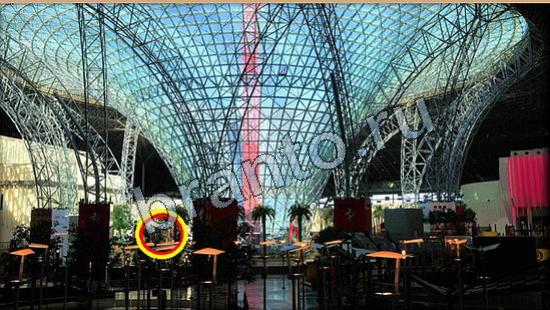 ответы Где же кот Уровень 6265