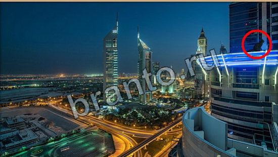 Где же кот игра ответы Уровень 6269