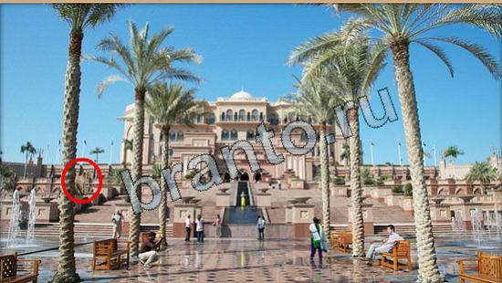 ответы в картинках на игру Где же кот Уровень 6277