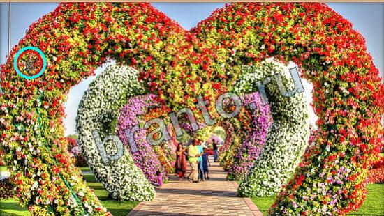 помощь на игру Где же кот Уровень 6278