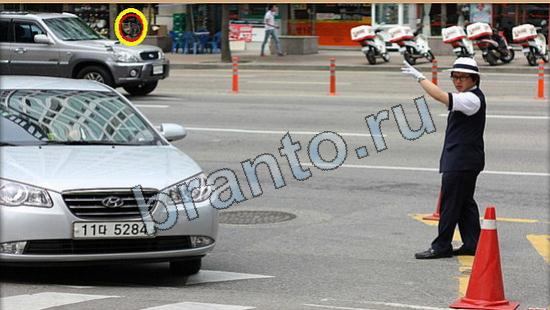 Подсказки на игру Где же кот Уровень 6282