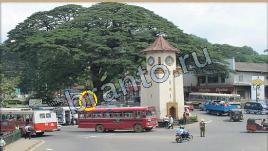 Решения на игру Где же кот Уровень 6283