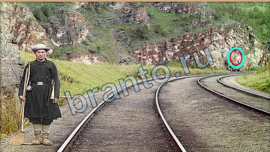 Где же кот игра ответы в одноклассниках Уровень 6287