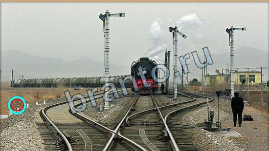 Где же кот? ответы Уровень 6288