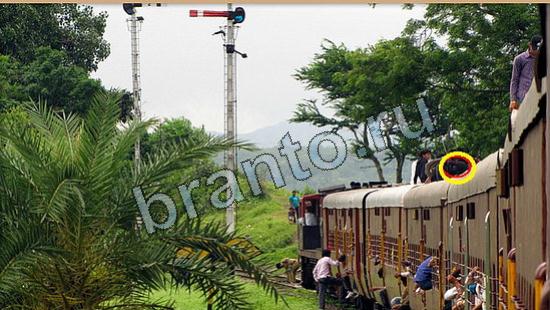 Где же кот? подсказки Уровень 6289