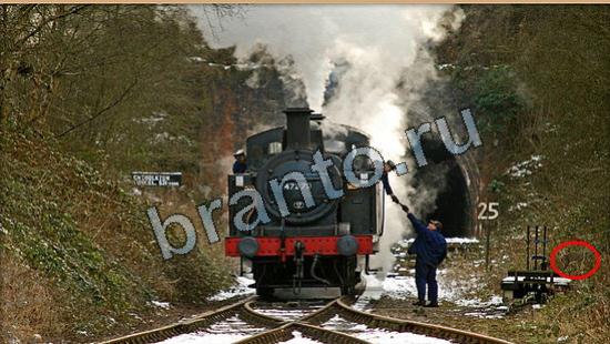 решебник на игру Где же кот Уровень 6291